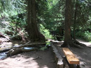 Hanging Lake Rest Stop Bench