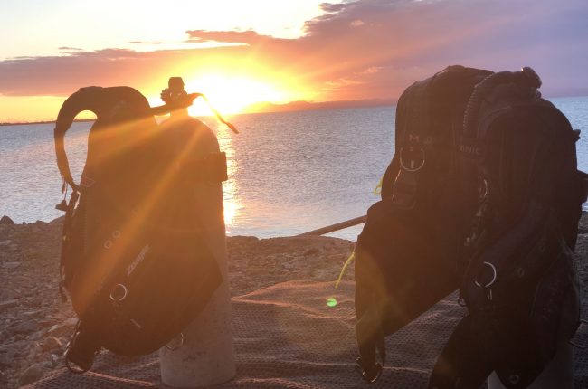 Scuba Diving at Mosquito Pier Vieques