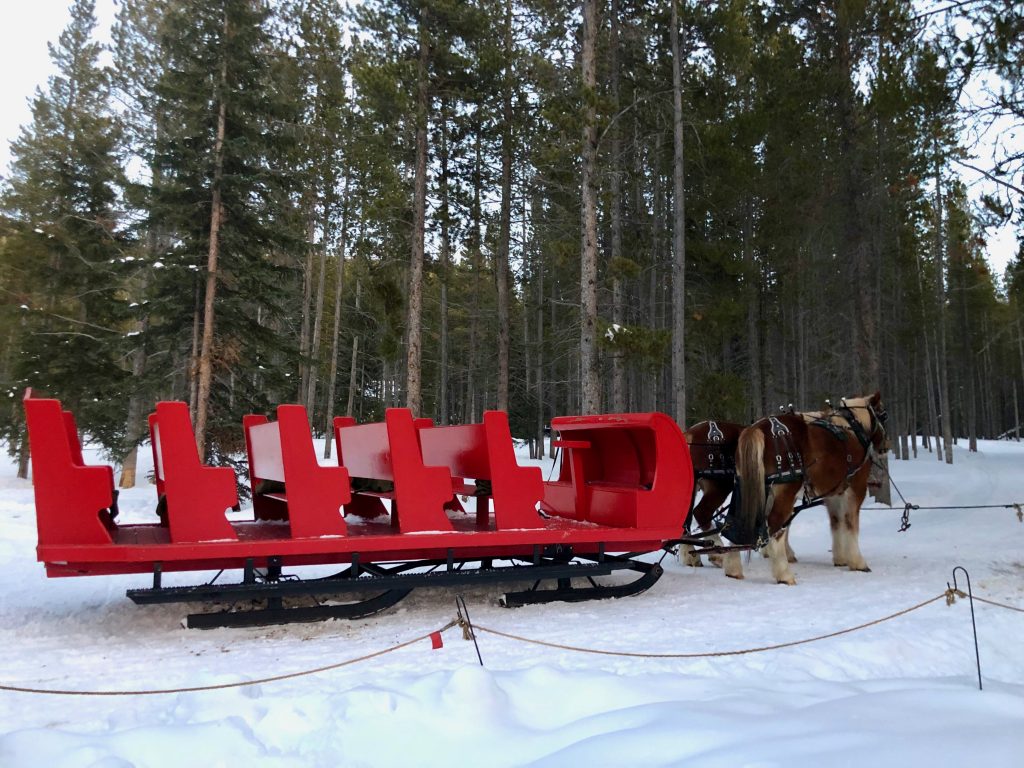 Golden Horseshoe Tours Breckenridge Colorado