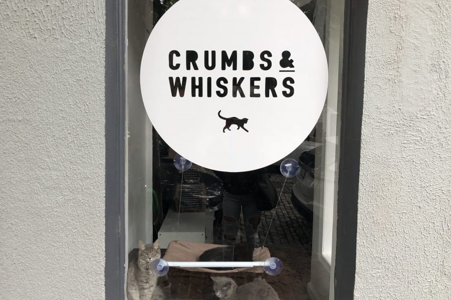 Georgetown Crumbs and Whiskers Cat Shop